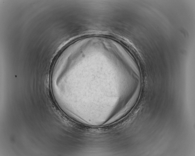 X0000112101220200908251142