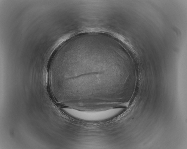 X0000112101221200908251142