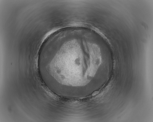 X0000112101222200908251142