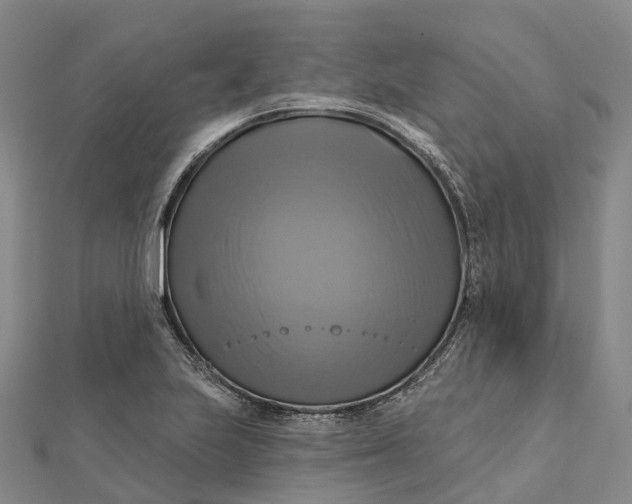 X0000112101223200908251142