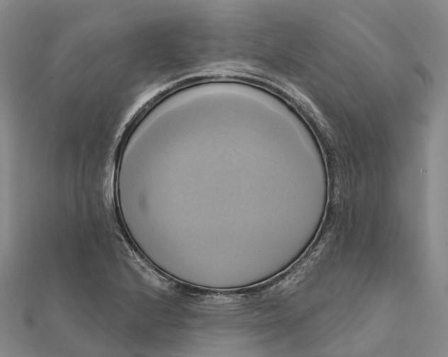 X0000112101224200908251142