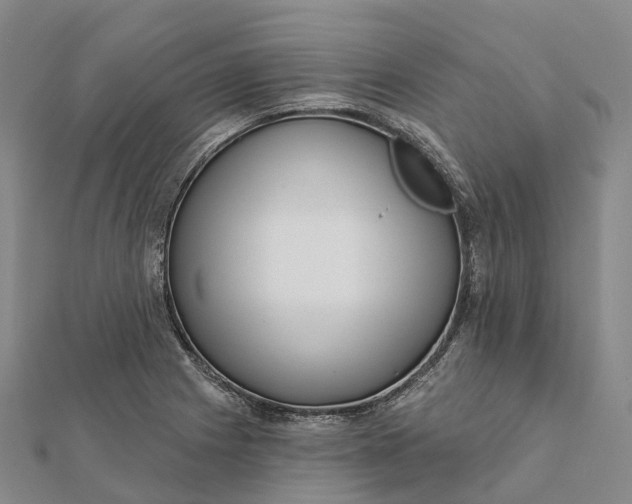 X0000112101225200908251142