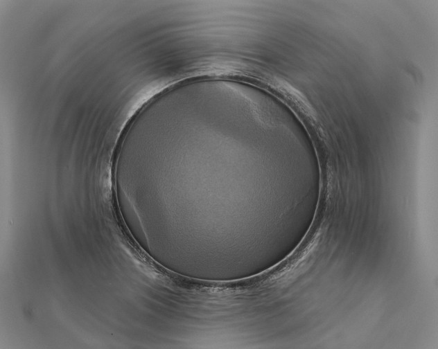 X0000112101226200908251142