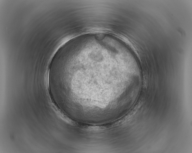 X0000112101227200908251142