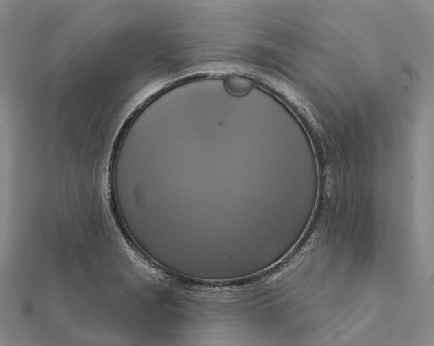 X0000112101229200908251142