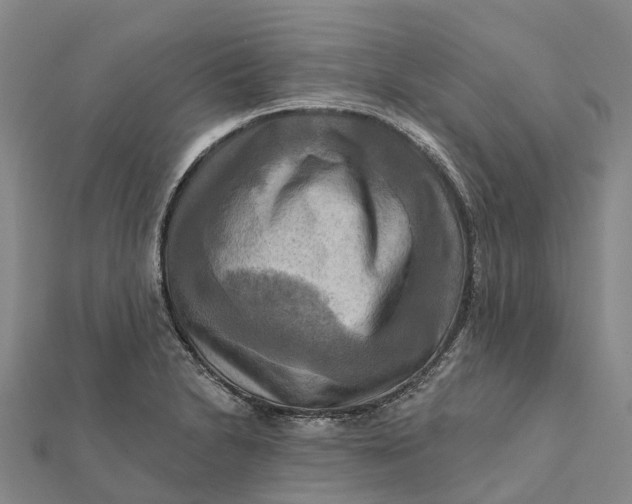 X0000112101230200908251142