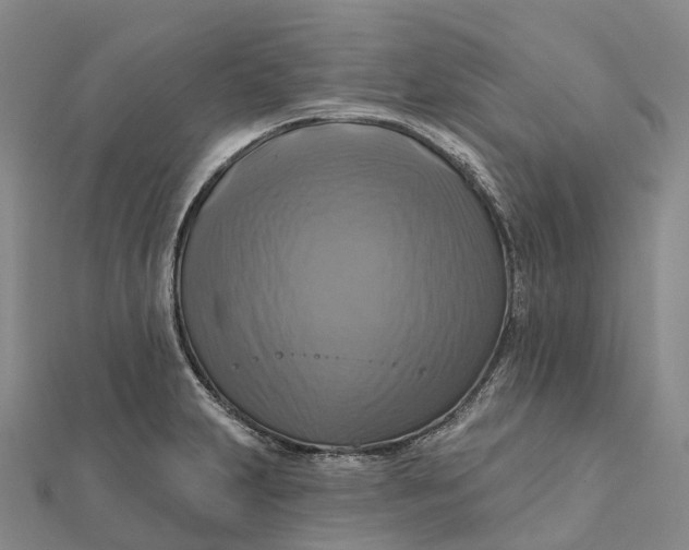 X0000112101231200908251142