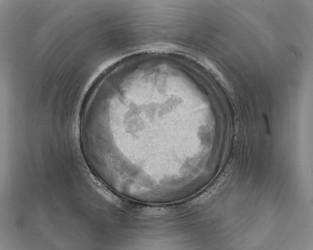 X0000112101232200908251142