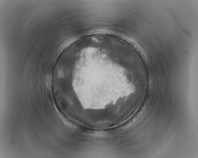 X0000112101233200908251142