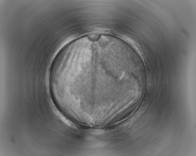 X0000112101235200908251142