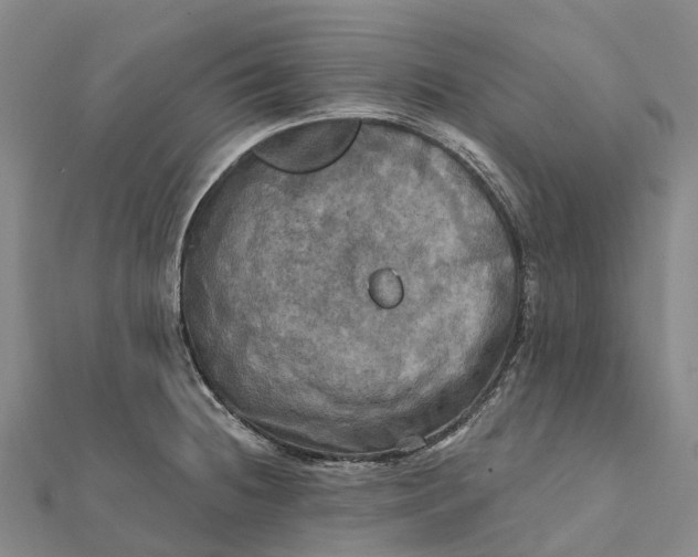 X0000112101236200908251142