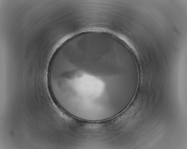 X0000112101237200908251142