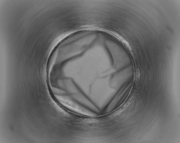 X0000112101239200908251143