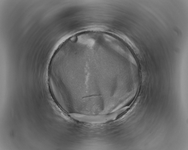 X0000112101240200908251143