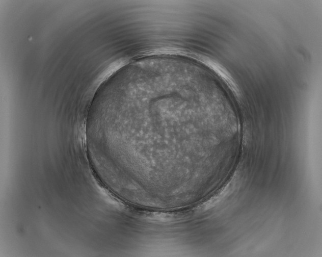 X0000112101241200908251143