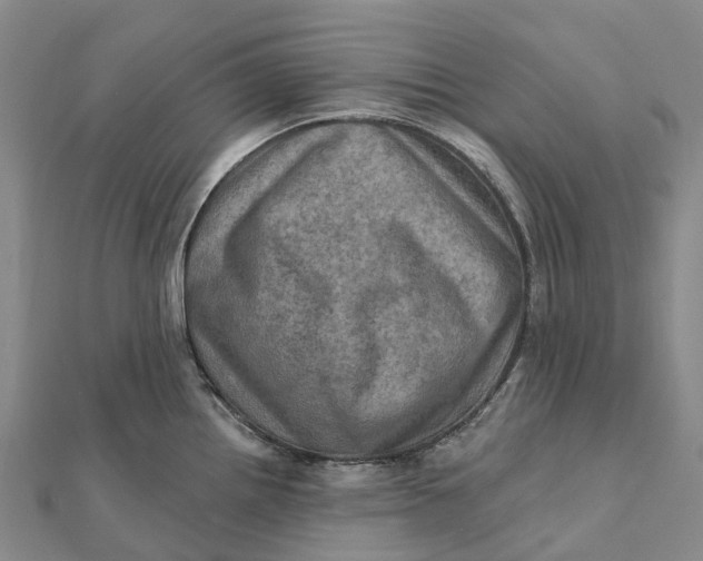 X0000112101242200908251143