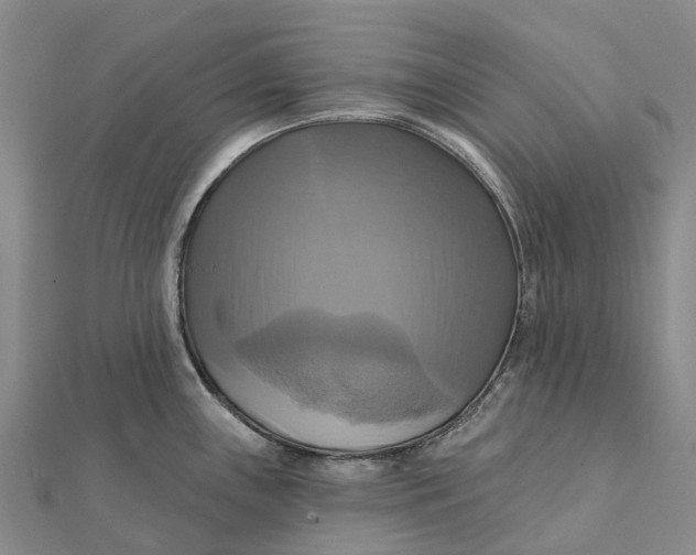 X0000112101243200908251143