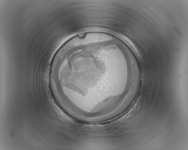 X0000112101244200908251143