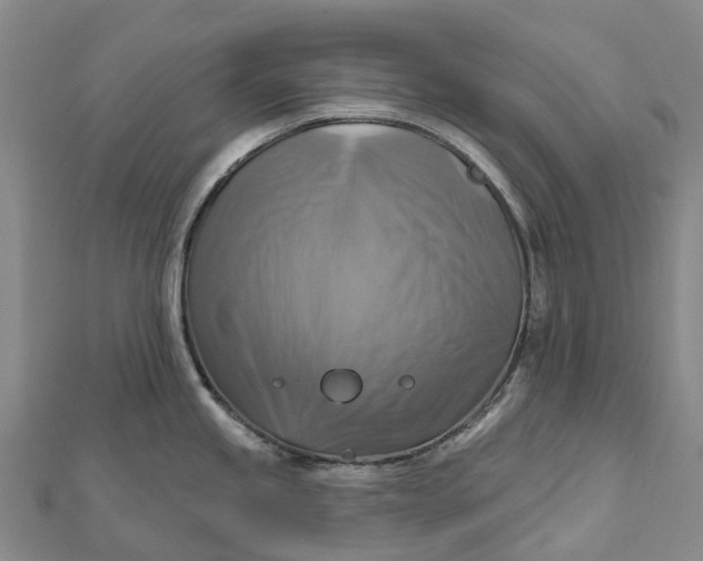 X0000112101245200908251143