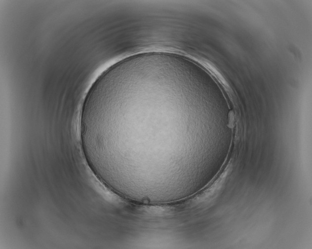 X0000112101246200908251143