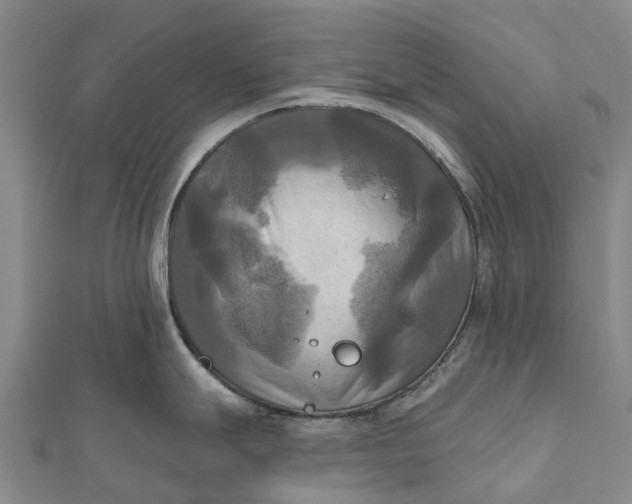 X0000112101247200908251143