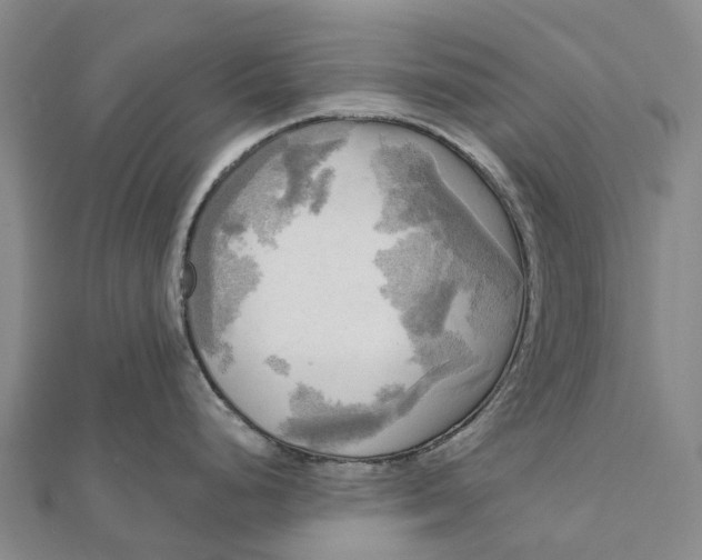 X0000112101248200908251143