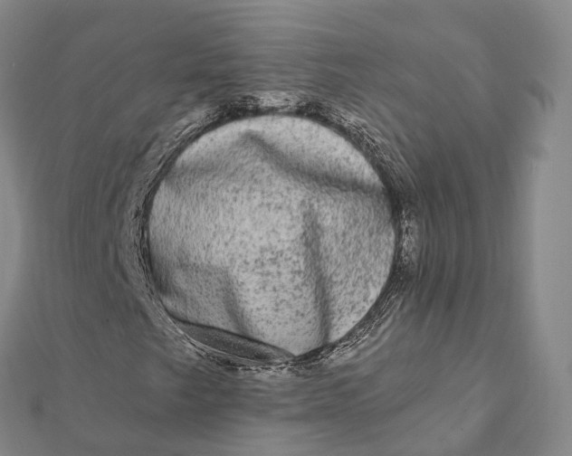 X0000112101249200908251142