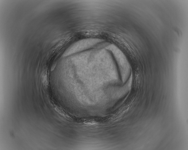 X0000112101250200908251142