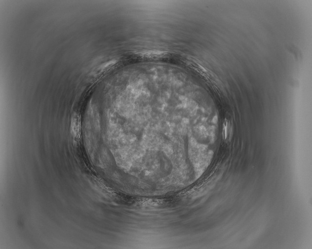 X0000112101251200908251142