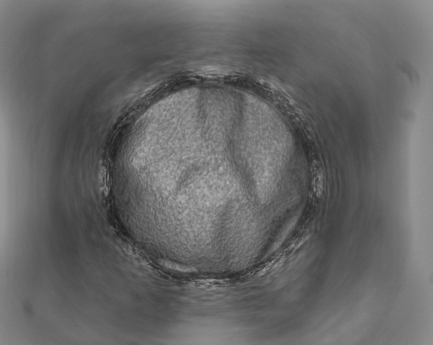 X0000112101253200908251142