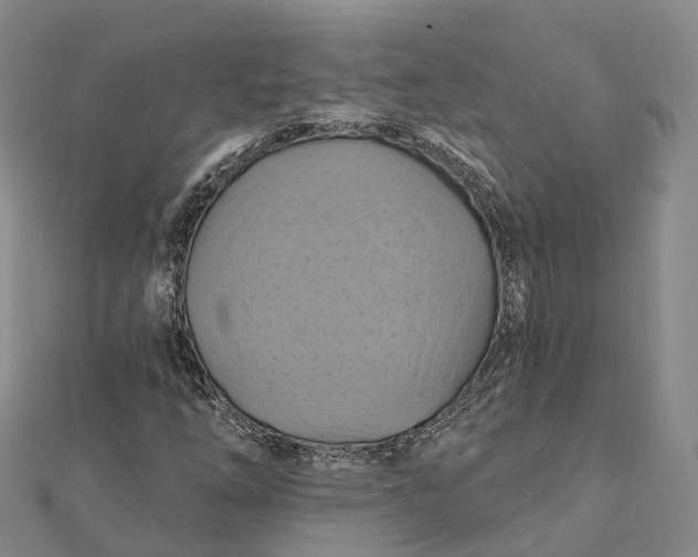 X0000112101254200908251142