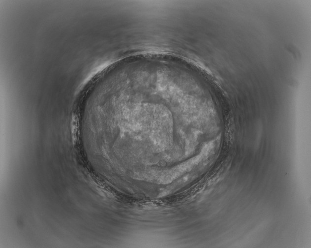 X0000112101255200908251142