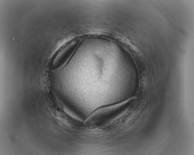 X0000112101256200908251142