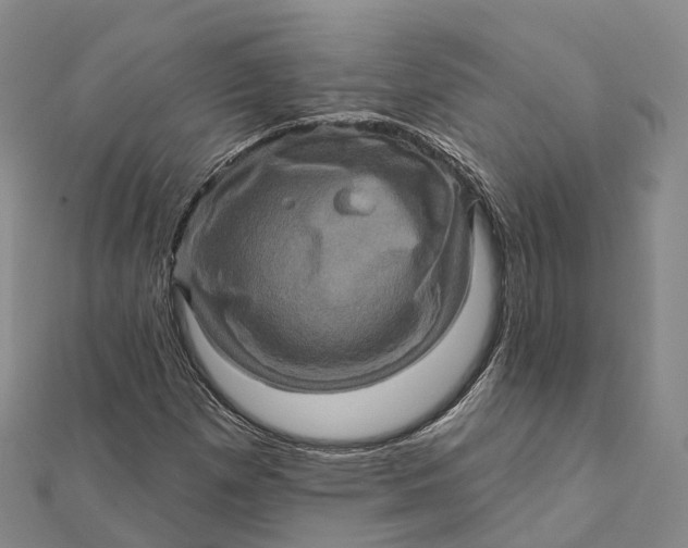 X0000112101257200908251142