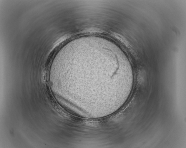 X0000112101258200908251142