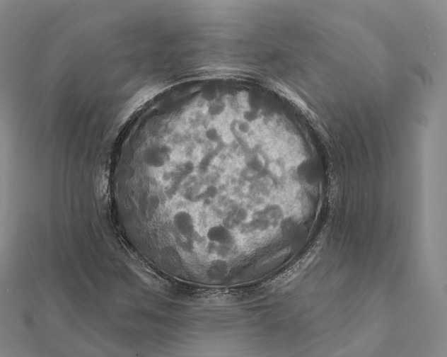 X0000112101259200908251142