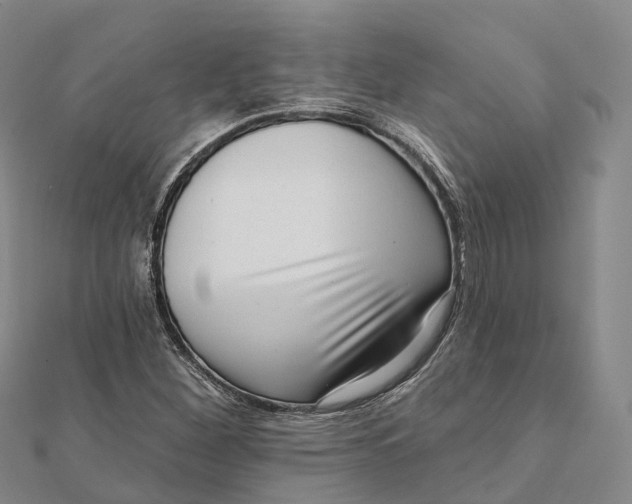 X0000112101260200908251142