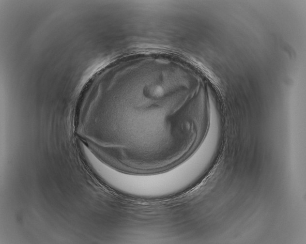 X0000112101261200908251142