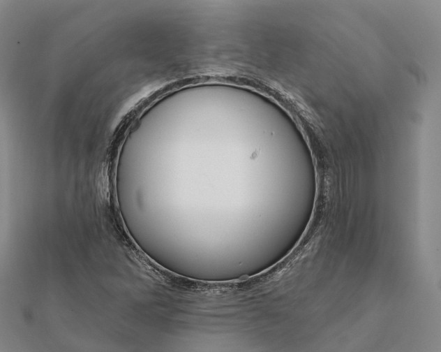 X0000112101262200908251142