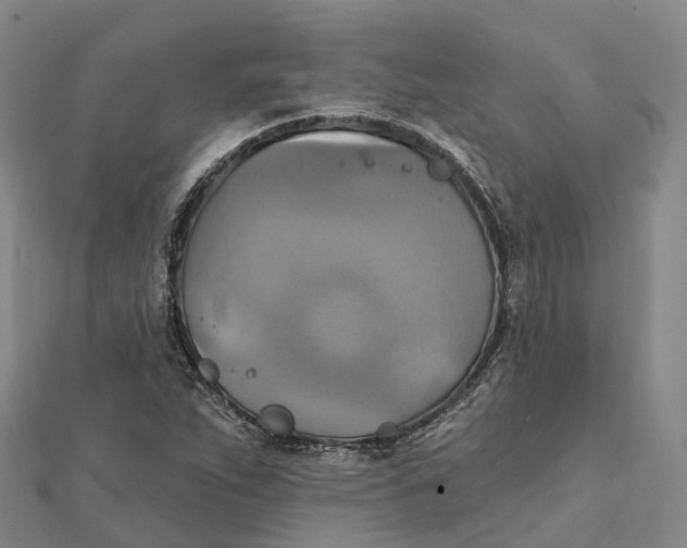 X0000112101263200908251142