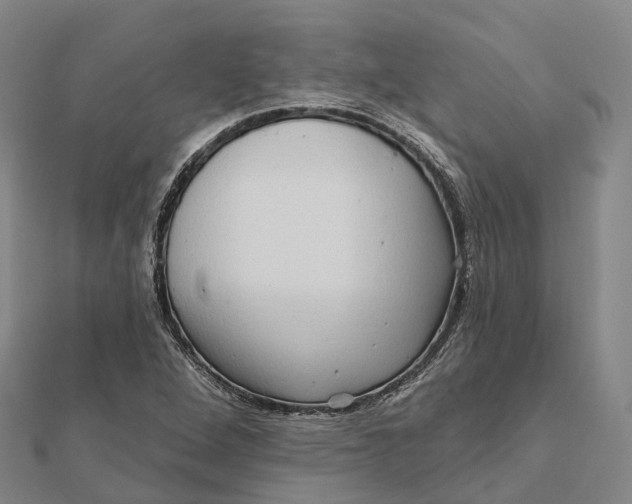 X0000112101264200908251142