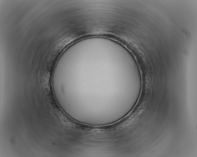 X0000112101265200908251142