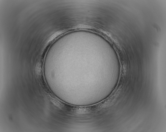 X0000112101266200908251142