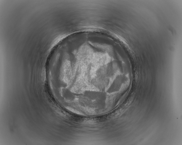 X0000112101267200908251142