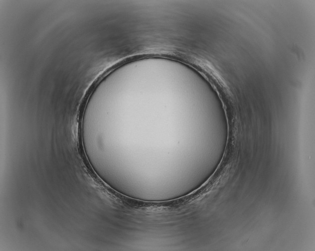 X0000112101268200908251142