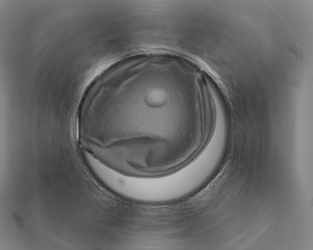 X0000112101269200908251142