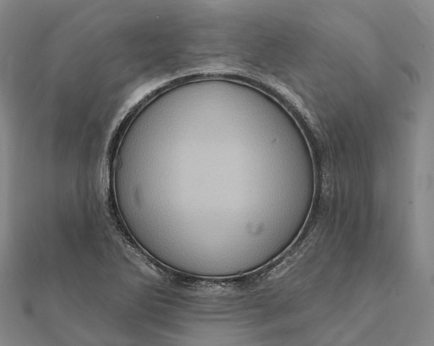 X0000112101270200908251142