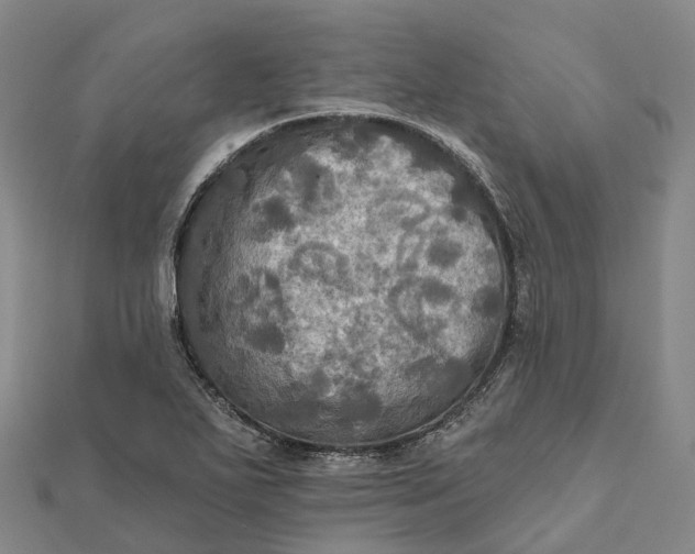 X0000112101271200908251142