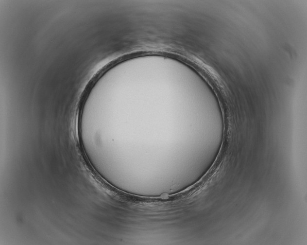 X0000112101272200908251142