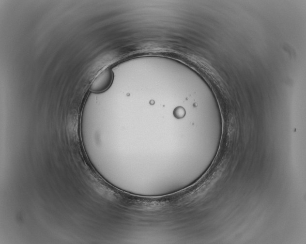 X0000112101273200908251142